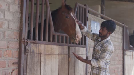 a man in a plaid shirt pets a horse in a barn where the horse behind a metal stable
