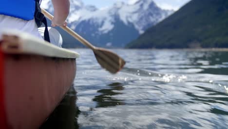 closeup of paddles rowing a canoe towards mountains