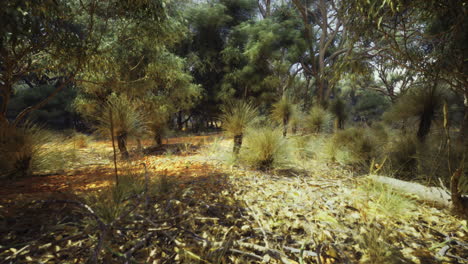 Vibrant natural landscape showcasing lush vegetation in a sunny forest