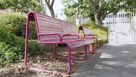 Bunte-Rosa-Bank-Und-Natur-Im-Park