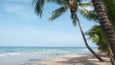 4k beautiful scenic beach view with palm tree on a summers vacation in koh chang, thailand