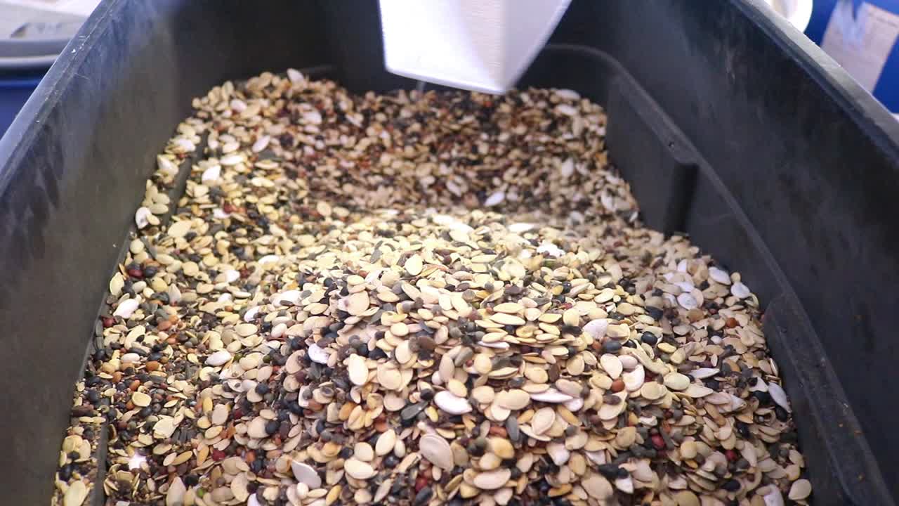 토양 건강을 개선하기 위해 종자를 판매하는 사업체에서 판매하는 덮개 작물로 사용되는 밀파 정원 종자 혼합