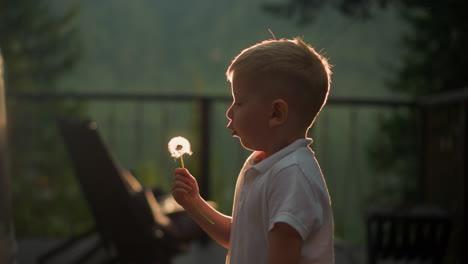 child blows fluffy dandelion in park. little boy plays with dry flower standing outdoors. tranquil kid blows seeds from windflower at countryside