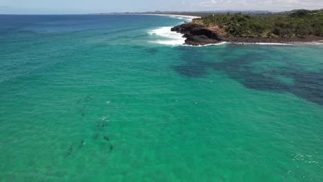Pod Of Bottlenose Dolphins Undersea Offshore from Fingal Head In New South Wales, Australia. aerial orbiting shot