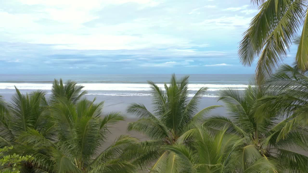 열대 해변을 드러내기 위해 야자수 사이를 날아다니는 시네마틱 드론 샷