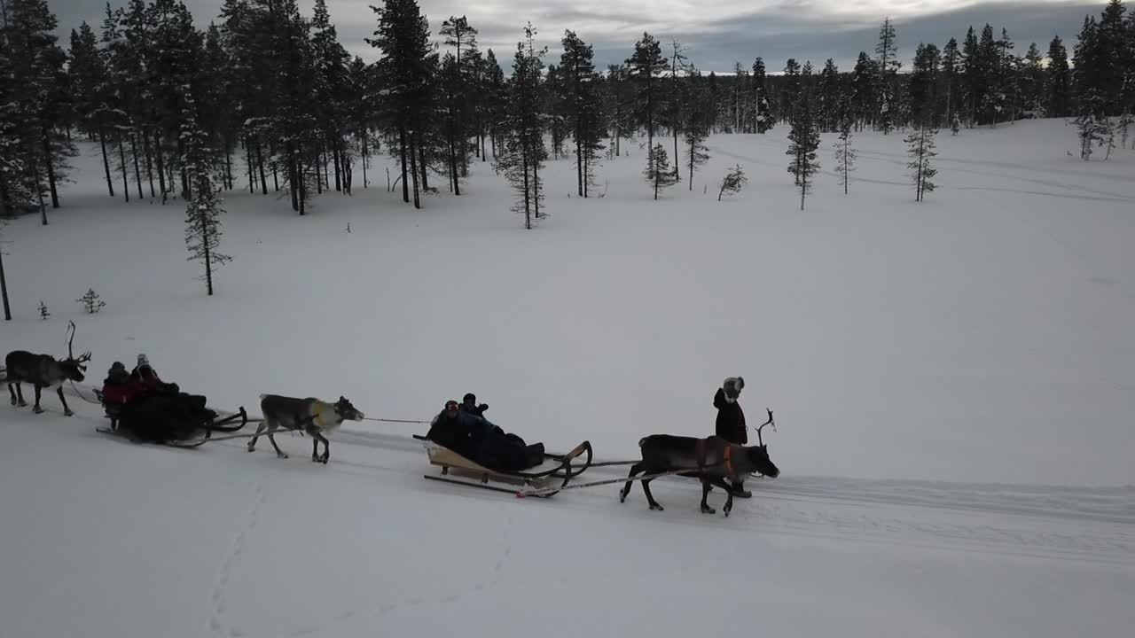 Droneutsikt over reinsledekjøring i Saariselkä, Lappland, Finland