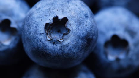 close up of fresh blueberries