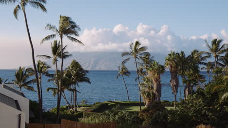 Palmeras-Meciéndose-En-La-Brisa-De-Hawaiin-Con-El-Pico-De-La-Montaña-Del-Oeste-De-Maui-En-El-Fondo,-Hawaii,-Ancho