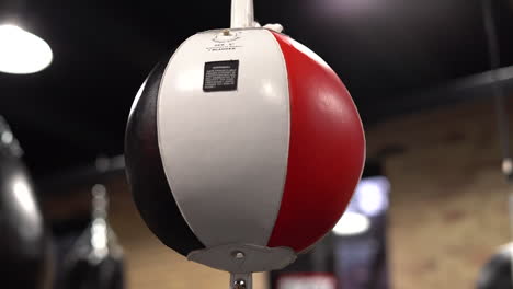 punching bag in a boxing gym