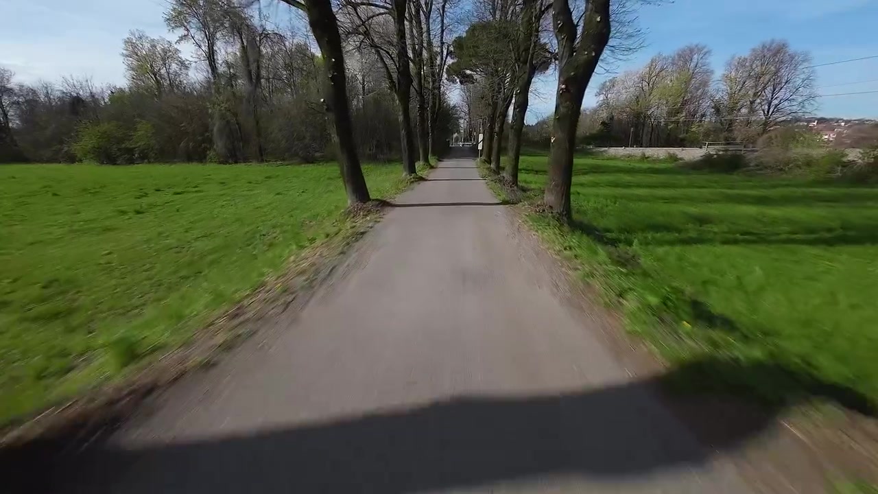 FPV-flyvning fra luften langs en tom vej mellem træer i Green Park ved Inverigo