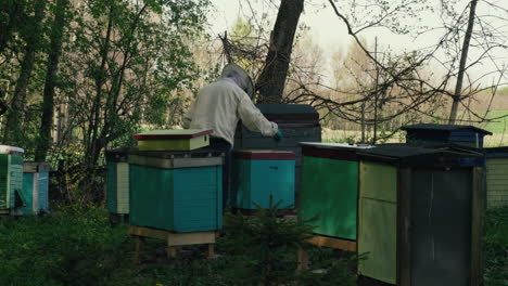 El-Apicultor-Inspecciona-Las-Colmenas-De-Abejas-Con-Máscara-Y-Traje-Completos-Durante-Un-Día-Soleado