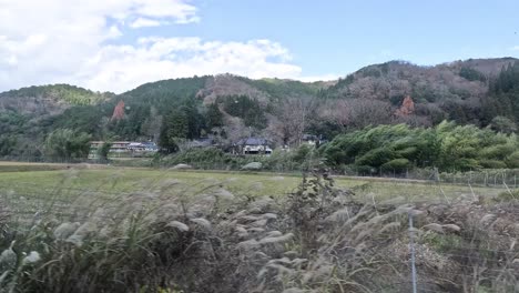 panoramic view of rural landscape over time.