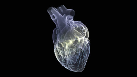 futuristic holographic x-ray tomography scanning patient's heart for health evaluation simulation medical examination, and assessment in full rotation loop with alpha channel - medical concept