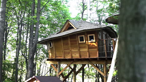 Toma-Fhd-De-Una-Lujosa-Casa-En-Un-árbol-En-Dolní-Morava,-República-Checa,-En-Un-Bosque,-Con-Dos-Troncos-De-árboles-Borrosos-Frente-A-La-Toma