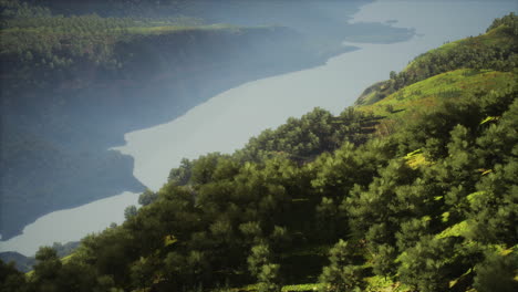 scenic mountain valley with river