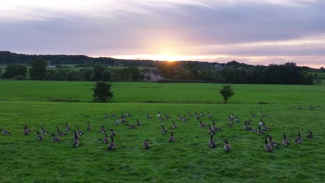 Idyllischer-Landschaftshintergrund-Bei-Sonnenuntergang