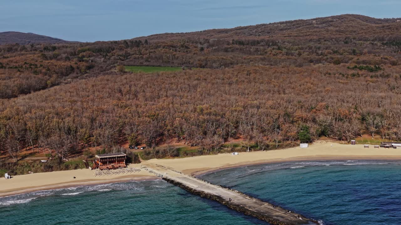 Coastal view of a serene beach with a pier under clear skies