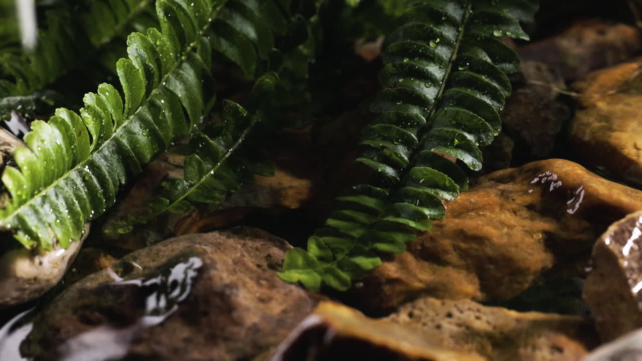 바위가 있는 강