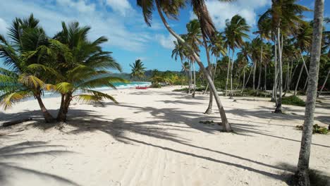 qué impresionante fotografía en una de las playas más hermosas de la tierra: playa rincon en la república dominicana.