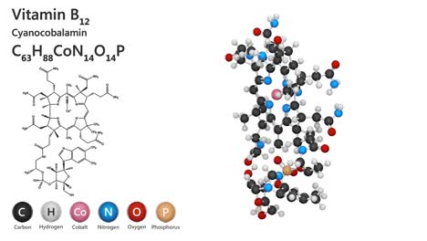 vitamin b12 (cyanocobalamin). seamless loop.