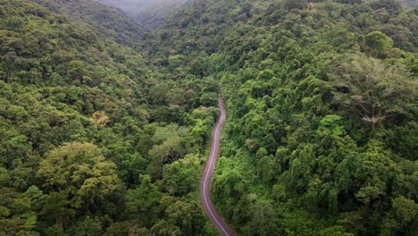 toma aérea épica de una carretera remota sobre la cima de una montaña con selva verde en la isla de sumbawa, indonesia