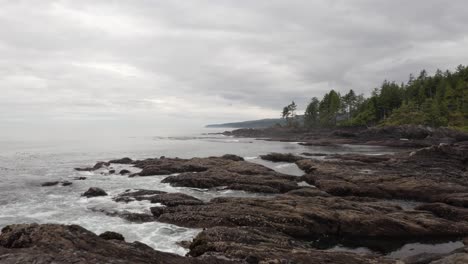 Playa-Botánica-En-La-Costa-De-Port-Renfrew,-Columbia-Británica