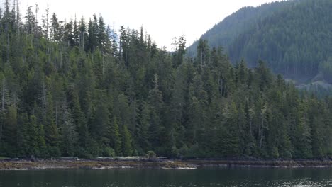 sitka, alaska, beautiful landscape around sitka sound cruise terminal.