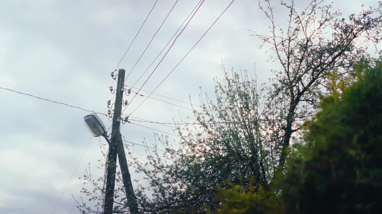 Wooden electricity pole with connected wires standing among blossoming spring trees under cloudy sky. Captured in Latvia, Latgale.