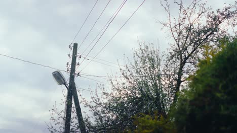 wooden electricity pole with connected wires standing among blossoming spring trees under cloudy sky. captured in latvia, latgale.