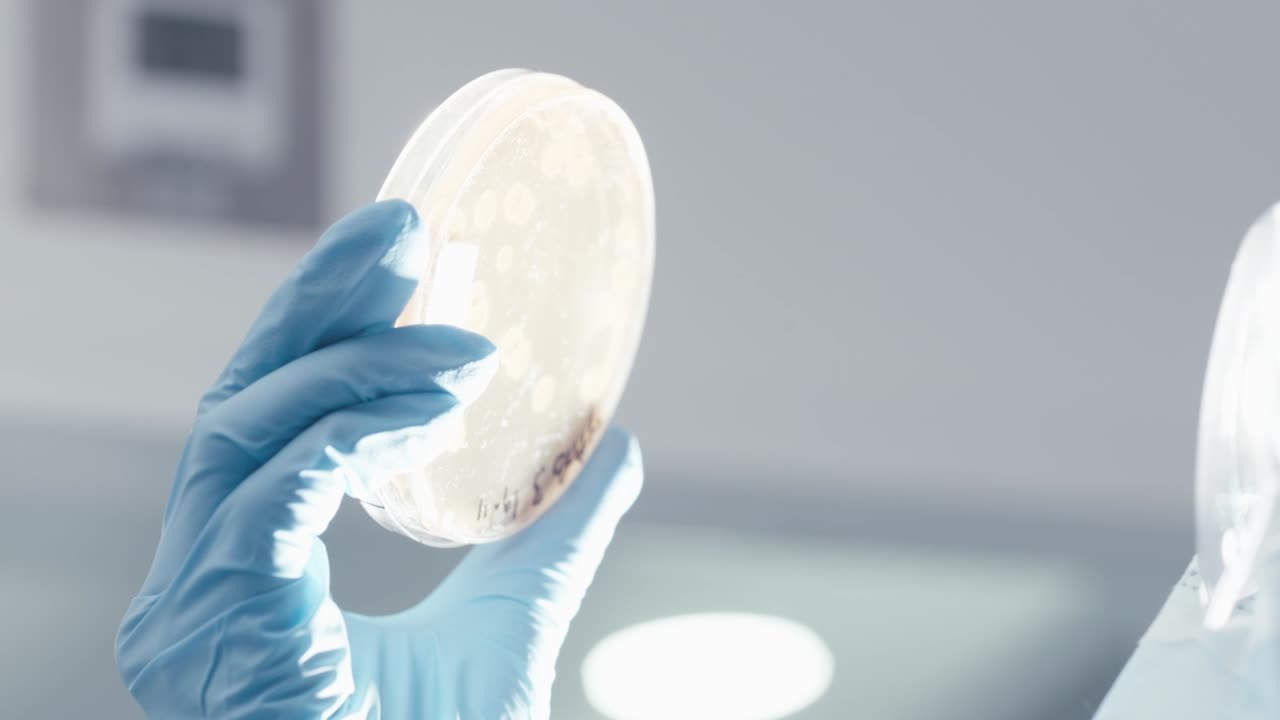 An object to be observed with a microscope in a research laboratory