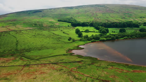 Toma-Aérea-De-Un-Lago-Rodeado-De-Campo-Verde,-En-Un-Brillante-Día-De-Verano