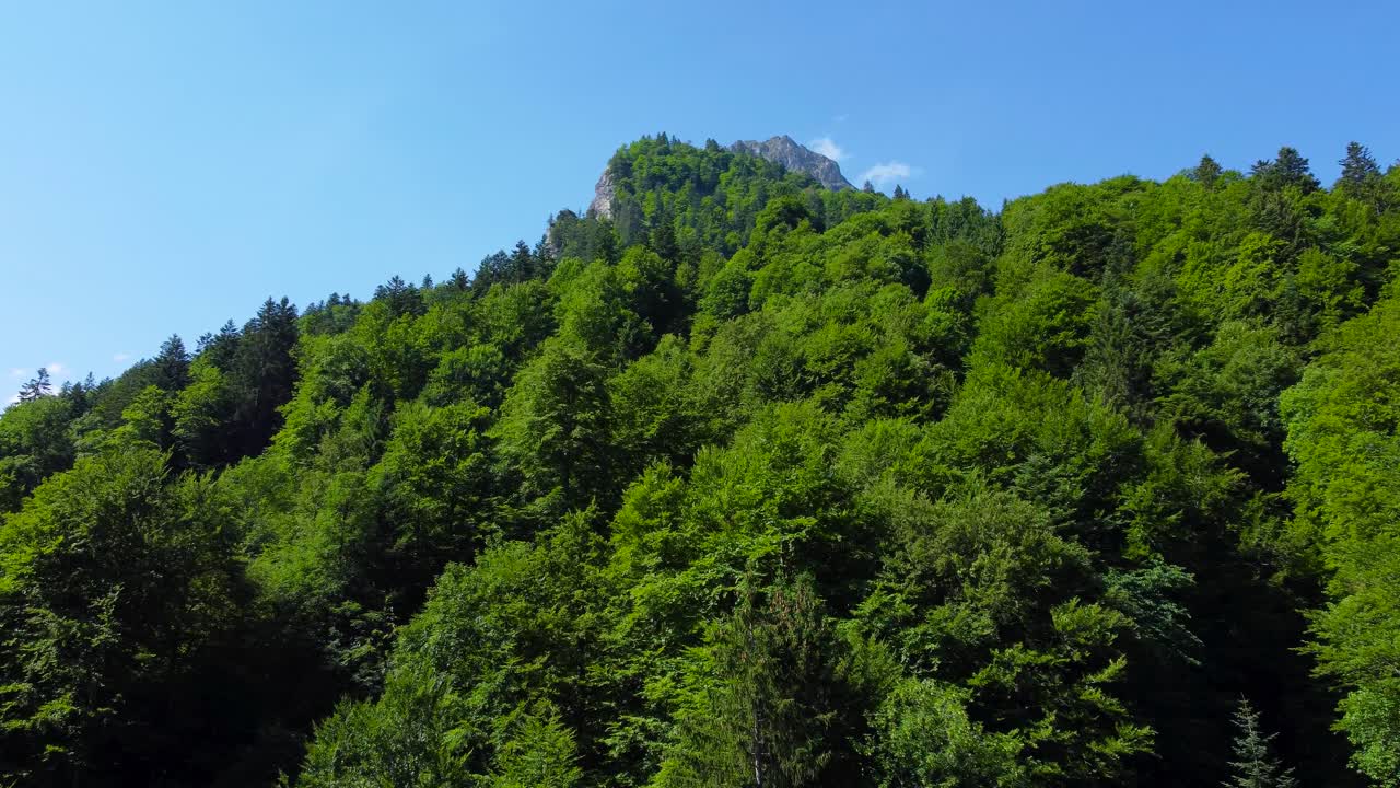 Aerial Shot of Dense Forest Near Berglist&uuml;ber Waterfall in Switzerland