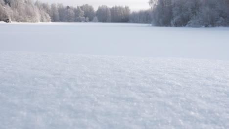 冬季森林景色上的降雪,向上倾斜缓慢运动揭示