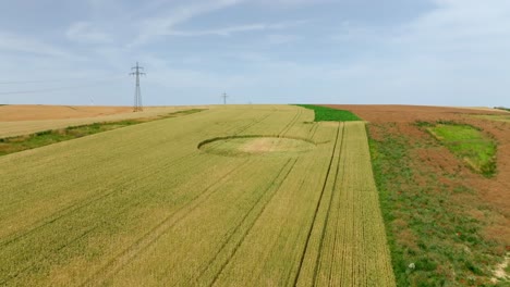 crop circle on grain crop field - aerial drone shot