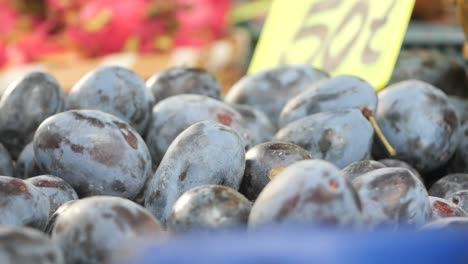 selecting plums at the farmer's market