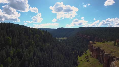 Luftaufnahme:-Vorwärts-über-Den-Immergrünen-Baumwald-Schieben