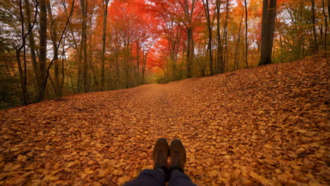 autumn forest path covered in golden leaves with boots