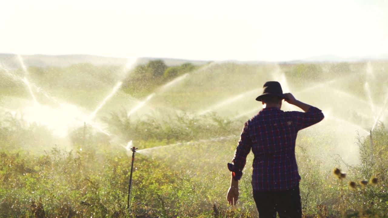 granjero caminando por un campo irrigado en cámara lenta.