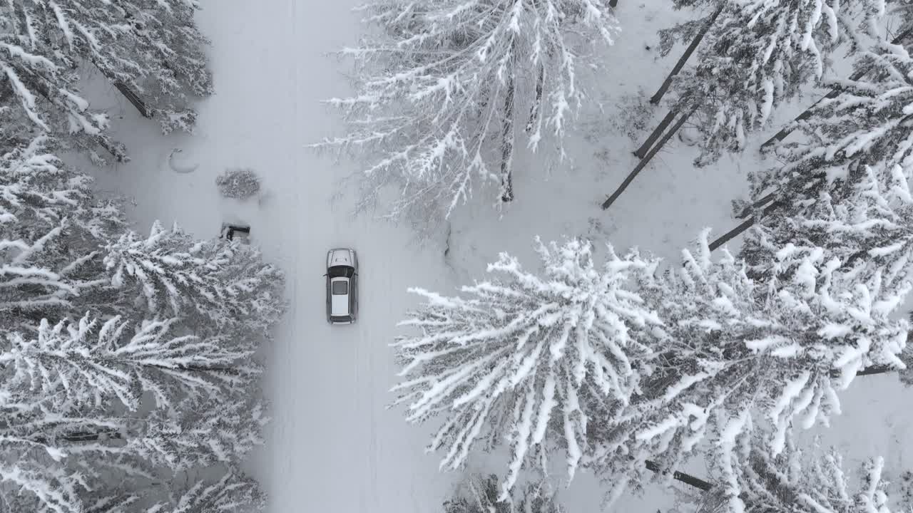 vista aérea asimétrica de un camión atravesando un bosque cubierto de nieve en un sendero nevado, en un día de invierno nublado - disparo de drones, disparo de seguimiento, sobrecarga