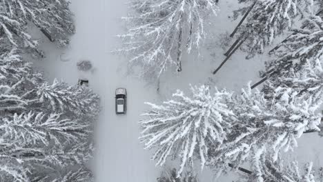 Aerial-asymmetrical-view-of-car-riding-through-a-snow-covered-forest-on-snowy-trail,-on-a-cloudy-winter-day---drone-shot,-tracking-shot,-overhead