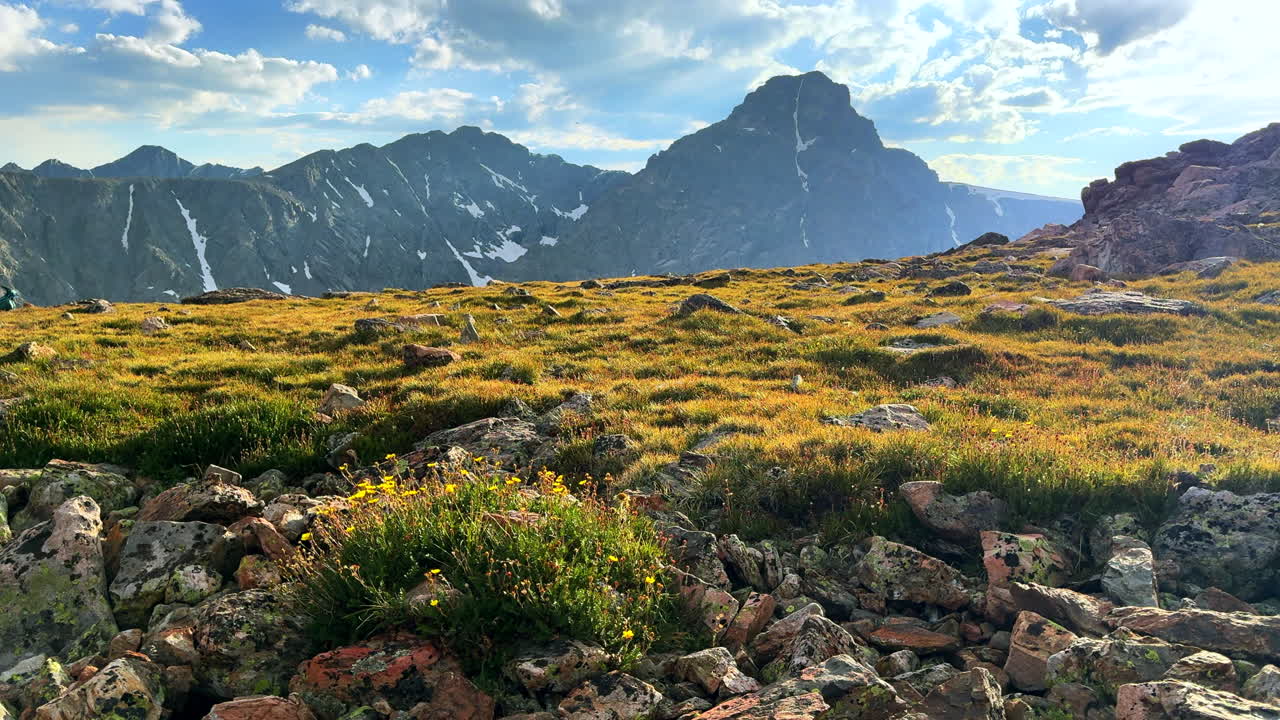 Mount of the Holy Cross 14er gula vildblommor sommareftermiddag Rocky Mountain Sawatch Range Peak Colorado Alpine backcountry landscape Notch Mountain Shelter Halo Ridge trail moln statisk bild