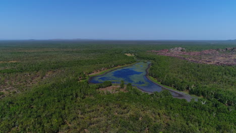 Oasis-Del-Desierto-De-Barón