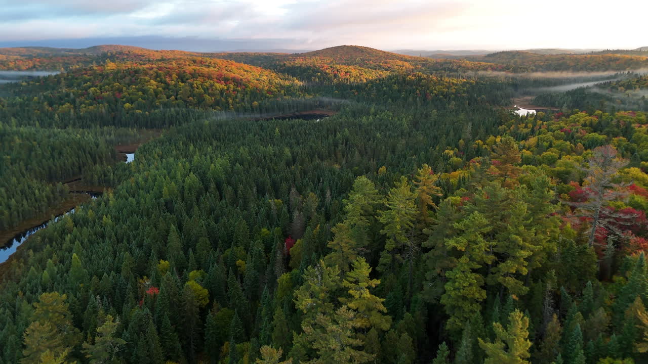 Drone view of a colorful autumn forest with mountains, lake, and river at sunrise in Mauricie, Quebec, Canada. Warm morning light highlights vibrant fall foliage and peaceful landscape