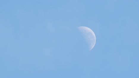 half moon daytime blue sky with slight clouds australia, victoria, gippsland, maffra medium shot