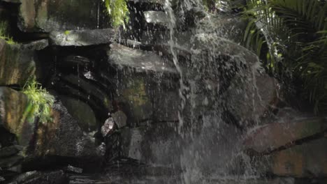 tropical rocky cascade in slow motion