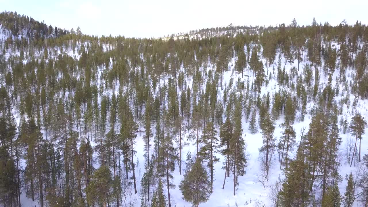 Ripresa con drone che sorvola una foresta artica coperta di neve sul circolo polare artico in Finlandia