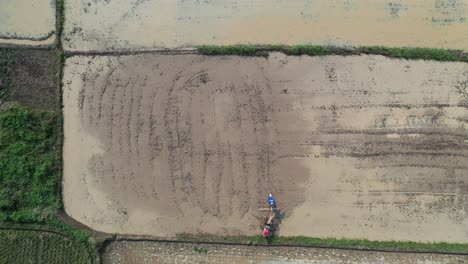 aerial view of a farmer cultivating a rice paddy