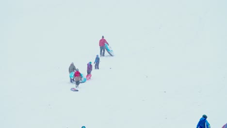 kids walking up the side of a snow covered hill pulling their sleds