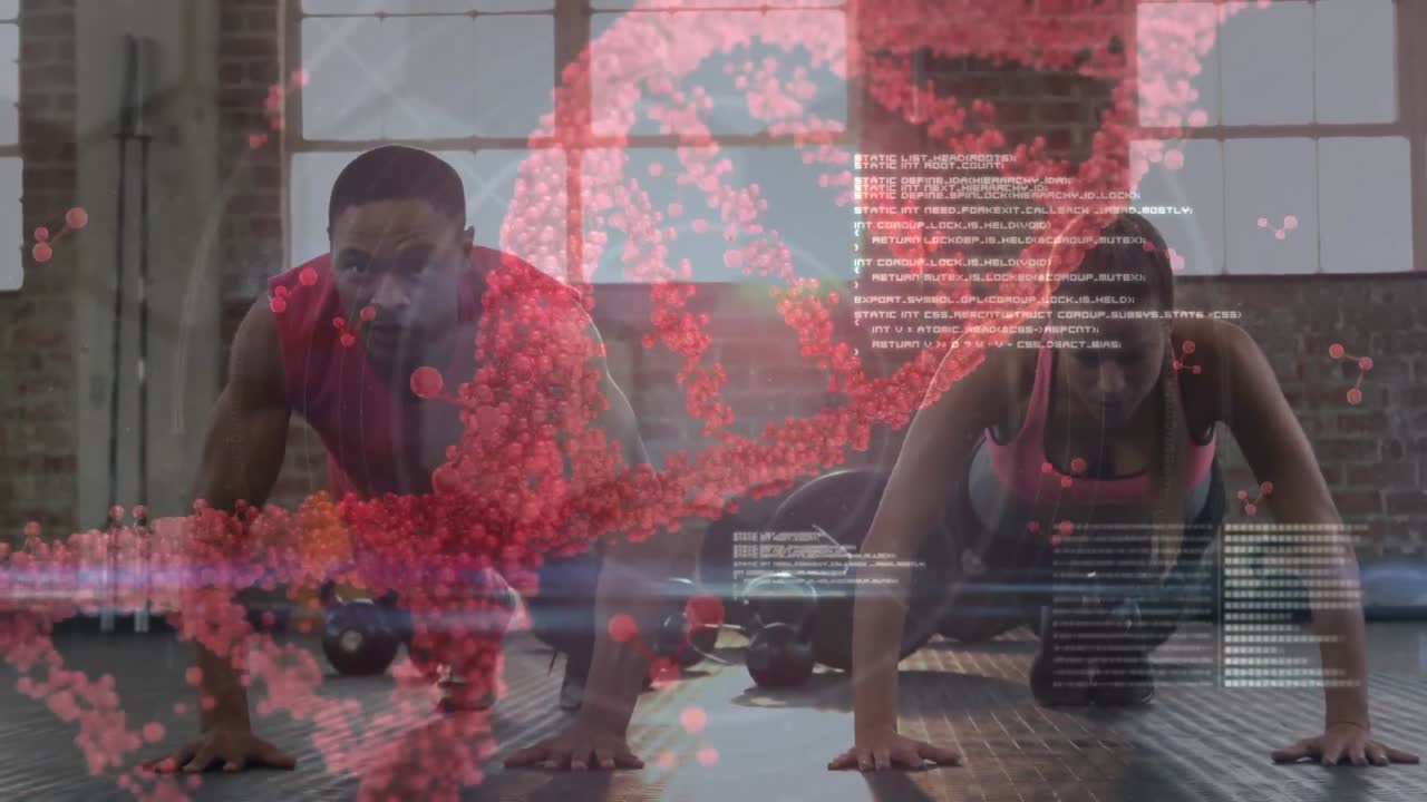 체육관에서 푸시업 운동을 하는 혼합 인종 피트 커플에 대한 의료 데이터 처리