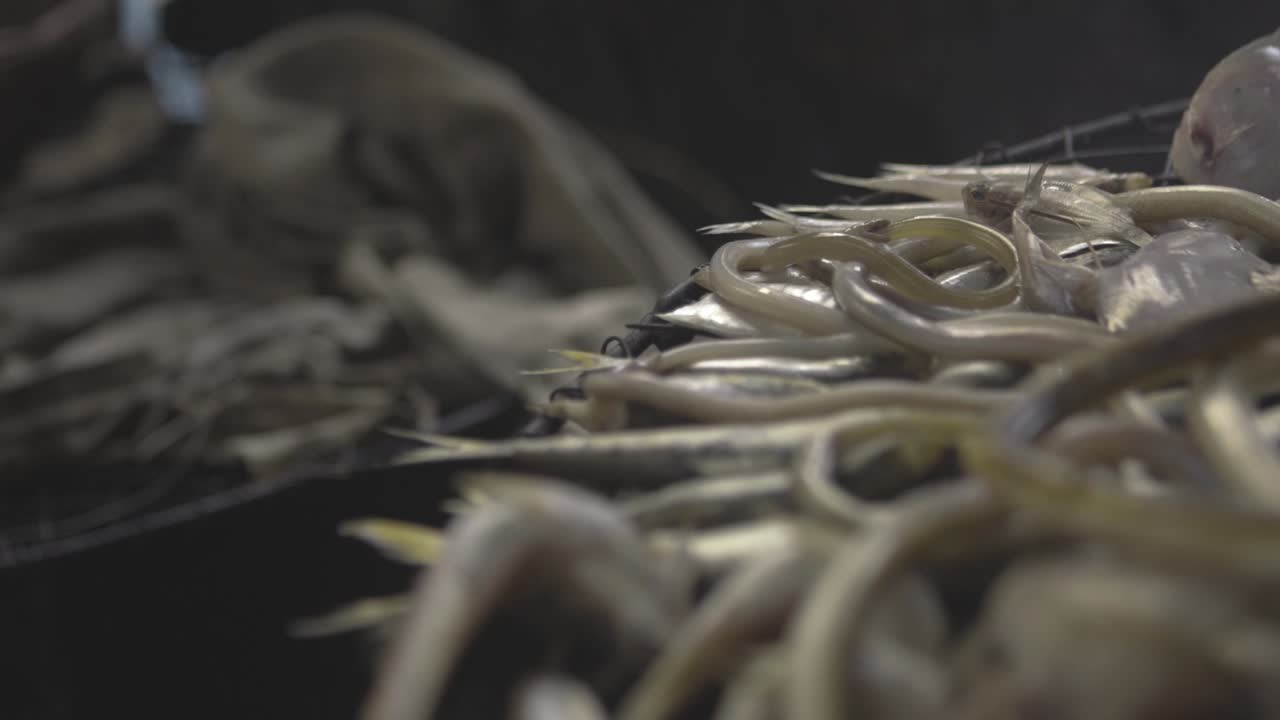 훈제 생선 나이지리아 09